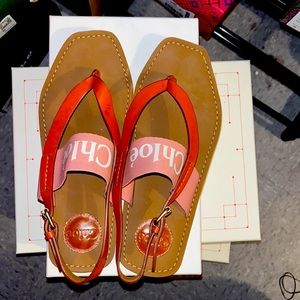 Chloe Strappy Woody Sandals - Delicate Pink & Brown